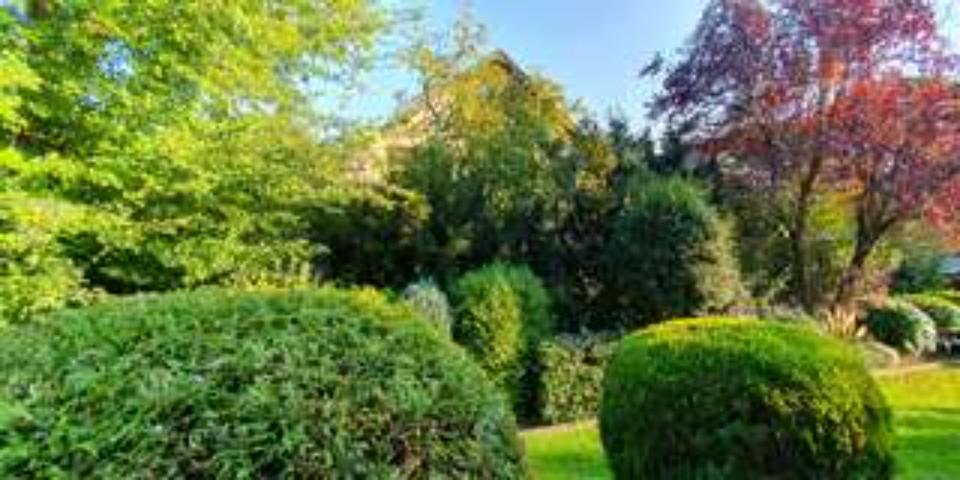 Mehrfamilienhaus, Wohnhaus Köln Porz - 4 Zimmer, 549.000&euro; | Angebot:21450352