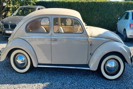 VW Käfer 30.000 km 18.955 &euro; Leverkusen 51375