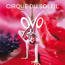 Cirque du Soleil OVO 01.11.2026 Stadthalle Graz