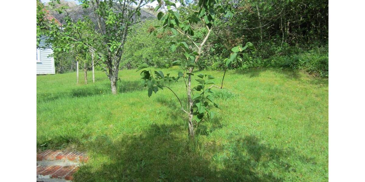 Einfamilienhaus Köln Porz - 170.000&euro; | Angebot:21609122