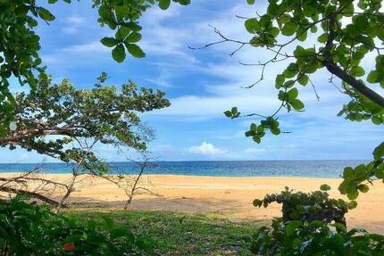Grundstück in Costa Rica in einer der blauen Zonen der Erde - Grundstück Köln | Angebot:6359382