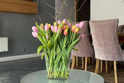 Haus Köln Blumenberg - 5 Zimmer, 225 m&sup2;, 680.000&euro; | Angebot:22475696