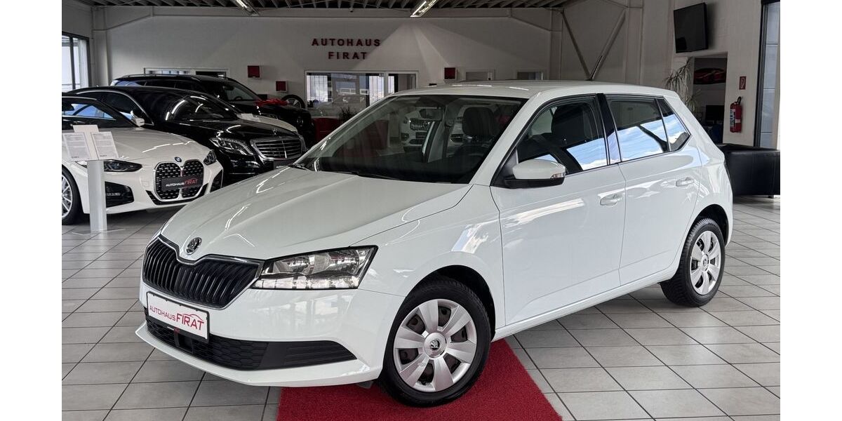 Skoda Fabia 139.923 km 8.549 &euro; Erftstadt / Köln 50374