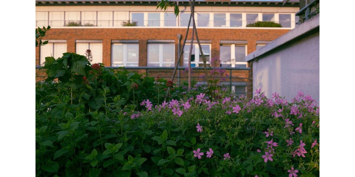 Einfamilienhaus Köln Mülheim - 2 Zimmer, 106 m&sup2;, 545.000&euro; | Angebot:25825182