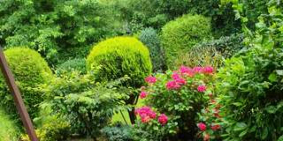 Mehrfamilienhaus, Wohnhaus Köln Porz - 4 Zimmer, 549.000&euro; | Angebot:21450352